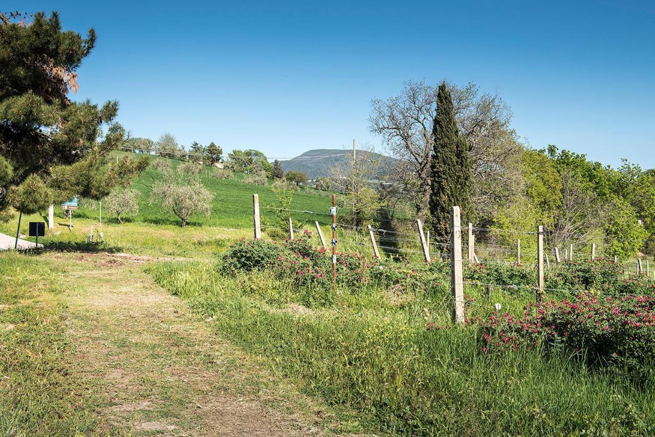 A11 - Varano, Delizioso Trilocale Con Giardino Ανκόνα Εξωτερικό φωτογραφία